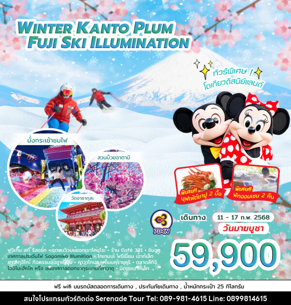 ทัวร์ญี่ปุ่น WINTER KANTO PLUM FUJI SKI ILLUMINATION  - บริษัท เซเรเนด ทัวร์ จำกัด