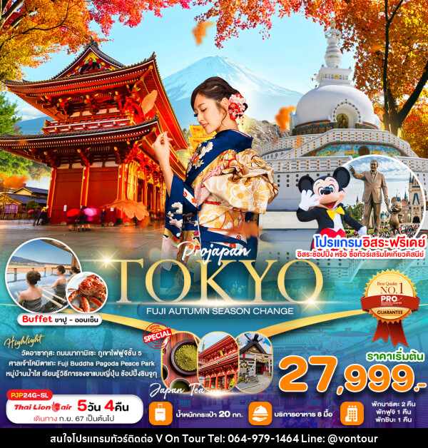 ทัวร์ญี่ปุ่น TOKYO FUJI AUTUMN SEASON CHANGE - บริษัท อเมซเลเซอร์ จำกัด