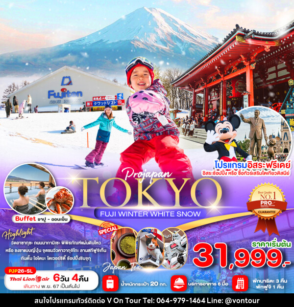 ทัวร์ญี่ปุ่น TOKYO FUJI WINTER WHITE SNOW - บริษัท อเมซเลเซอร์ จำกัด