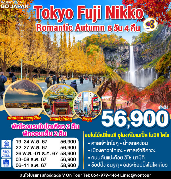 ทัวร์ญี่ปุ่น TOKYO FUJI NIKKO ROMANTIC AUTUMN - บริษัท อเมซเลเซอร์ จำกัด