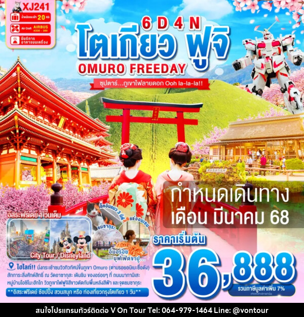 ทัวร์ญี่ปุ่น โตเกียว ฟูจิ OMURO FREEDAY - บริษัท อเมซเลเซอร์ จำกัด