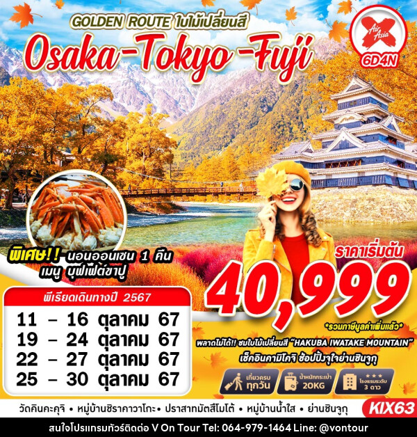 ทัวร์ญี่ปุ่น GOLDEN ROUTE ใบไม้เปลี่ยนสี Osaka Tokyo Fuji - บริษัท อเมซเลเซอร์ จำกัด