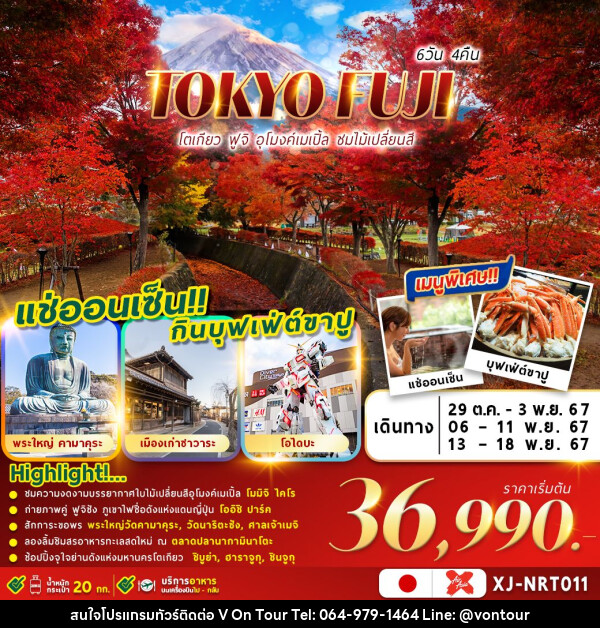 ทัวร์ญี่ปุ่น TOKYO FUJI AUTUMN - บริษัท อเมซเลเซอร์ จำกัด