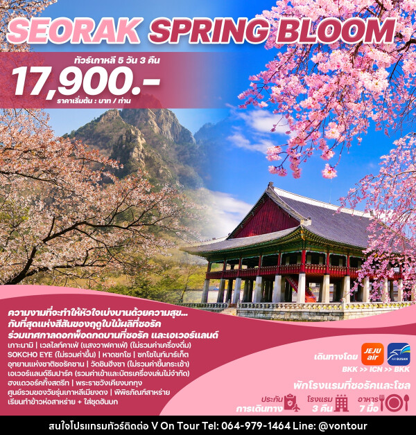 ทัวร์เกาหลี SEORAK SPRING BLOOM - บริษัท อเมซเลเซอร์ จำกัด