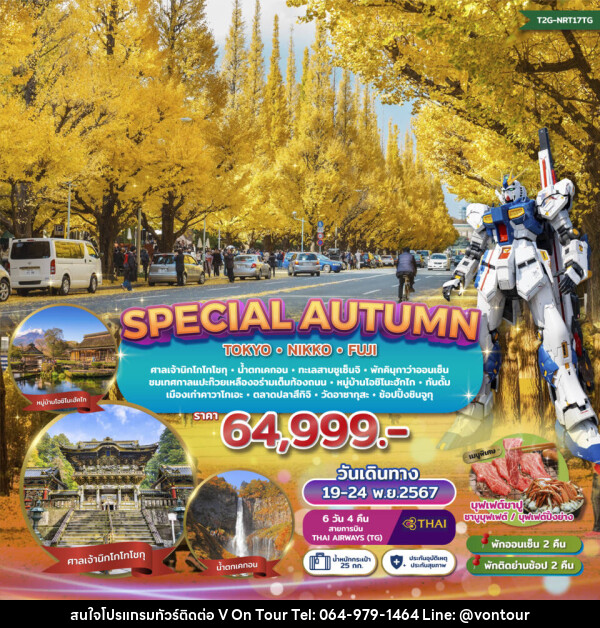 ทัวร์ญี่ปุ่น SPECIAL AUTUMN…TOKYO NIKKO FUJI GINKO FESTIVAL - บริษัท อเมซเลเซอร์ จำกัด