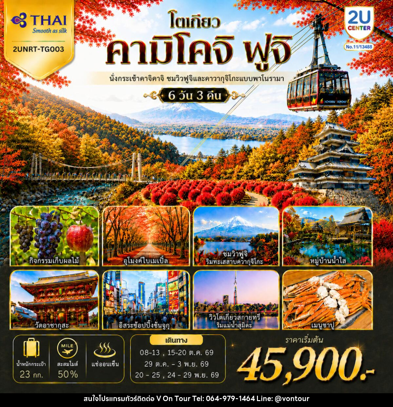 ทัวร์ญี่ปุ่น โตเกียว คามิโคจิ ฟูจิ นั่งกระเช้าคาจิคาจิ AUTUMN FULL BLOOM - บริษัท อเมซเลเซอร์ จำกัด
