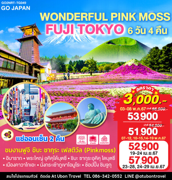 ทัวร์ญี่ปุ่น WONDERFUL PINK MOSS FUJI TOKYO - At Ubon Travel Co.,Ltd.