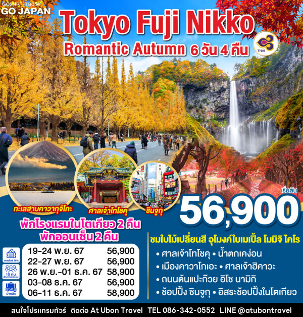 ทัวร์ญี่ปุ่น TOKYO FUJI NIKKO ROMANTIC AUTUMN - At Ubon Travel Co.,Ltd.