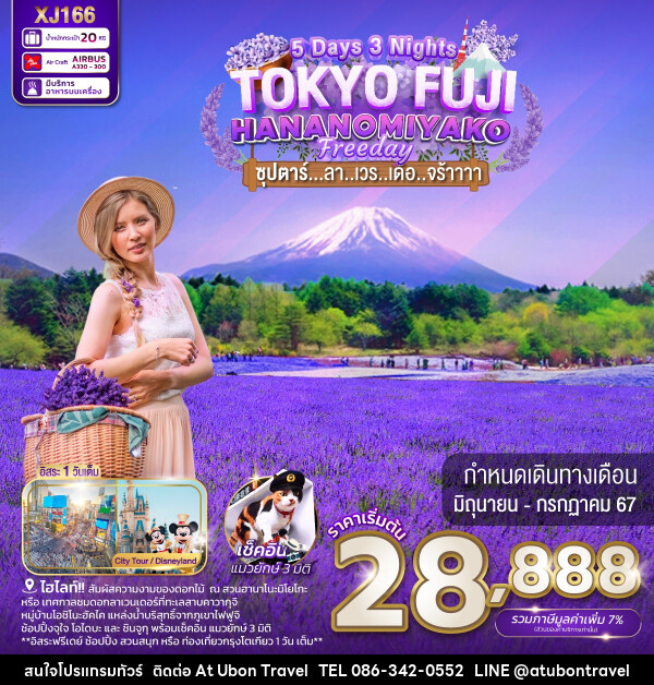 ทัวร์ญี่ปุ่น TOKYO FUJI HANANOMIYAKO FREEDAY - At Ubon Travel Co.,Ltd.