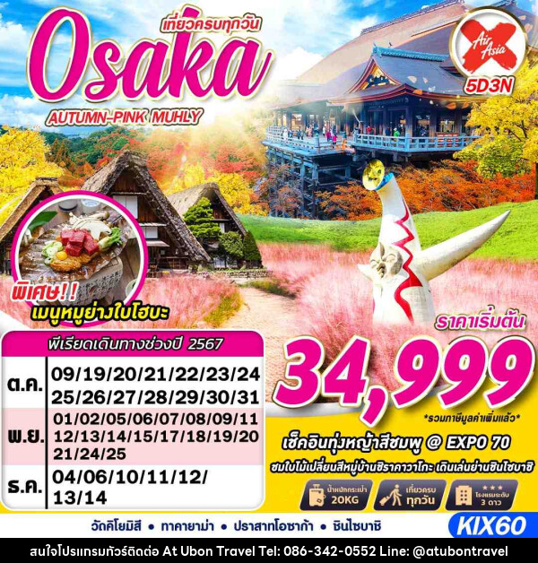 ทัวร์ญี่ปุ่น OSAKA AUTUMN-PINK MUHLY (เที่ยวเต็ม)  - At Ubon Travel Co.,Ltd.