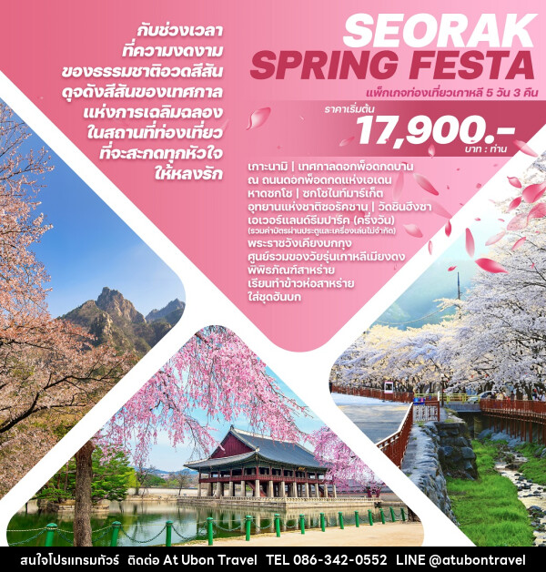 ทัวร์เกาหลี SEORAK SPRING FESTA - At Ubon Travel Co.,Ltd.