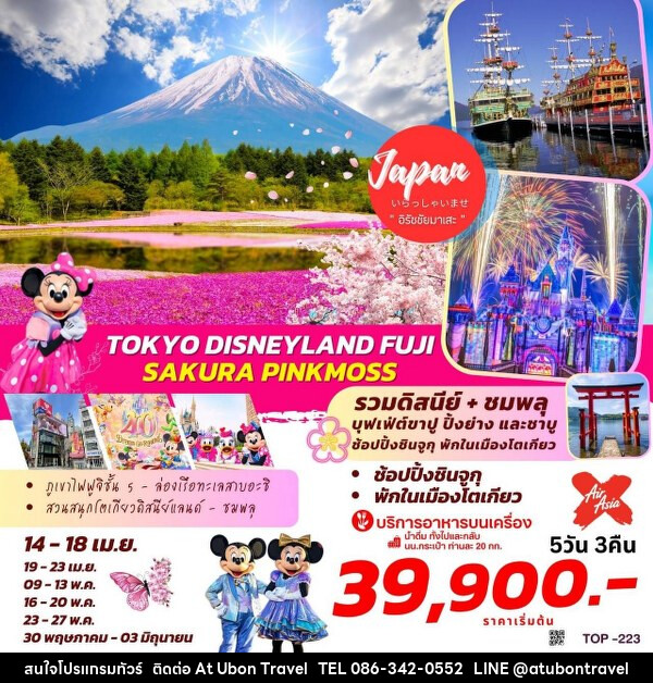 ทัวร์ญี่ปุ่น TOKYO DISNEYLAND  FUJI SAKURA PINKMOSS - At Ubon Travel Co.,Ltd.