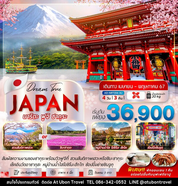 ทัวร์ญี่ปุ่น นาริตะ ฟูจิ ซากุระ - At Ubon Travel Co.,Ltd.