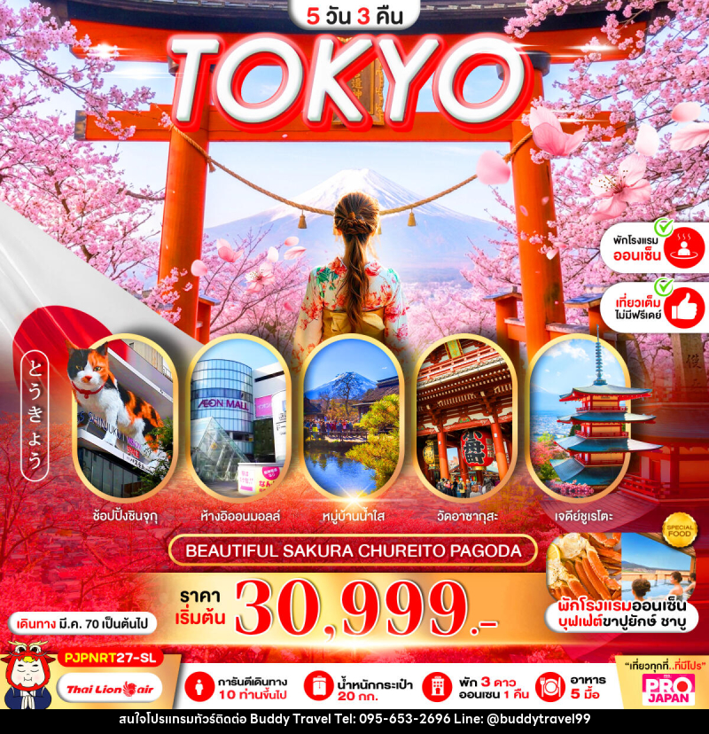ทัวร์ญี่ปุ่น PRO TOKYO BEAUTIFUL SAKURA CHUREITO PAGODA FULL DAY - บัดดี้ ทราเวล