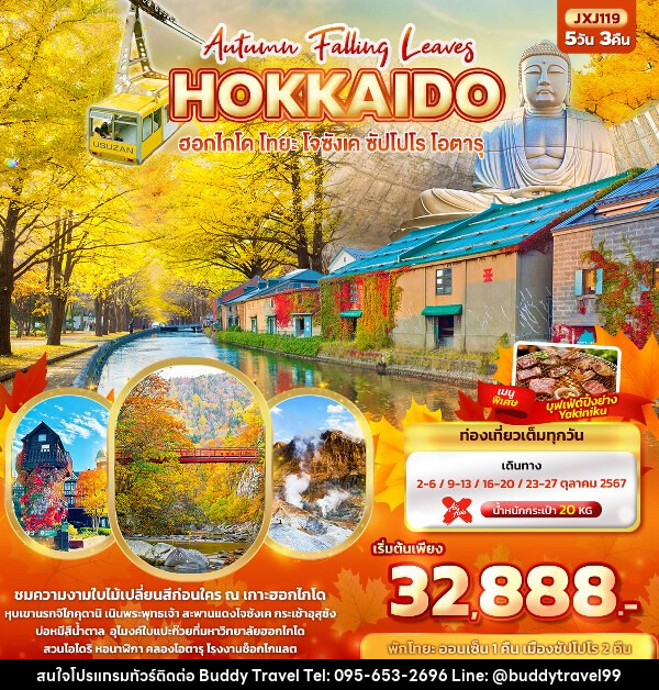 ทัวร์ญี่ปุ่น Hokkaido Autumn Falling Leaves  ฮอกไกโด โทยะ โจซังเค ซัปโปโร โอตารุ  - บัดดี้ ทราเวล