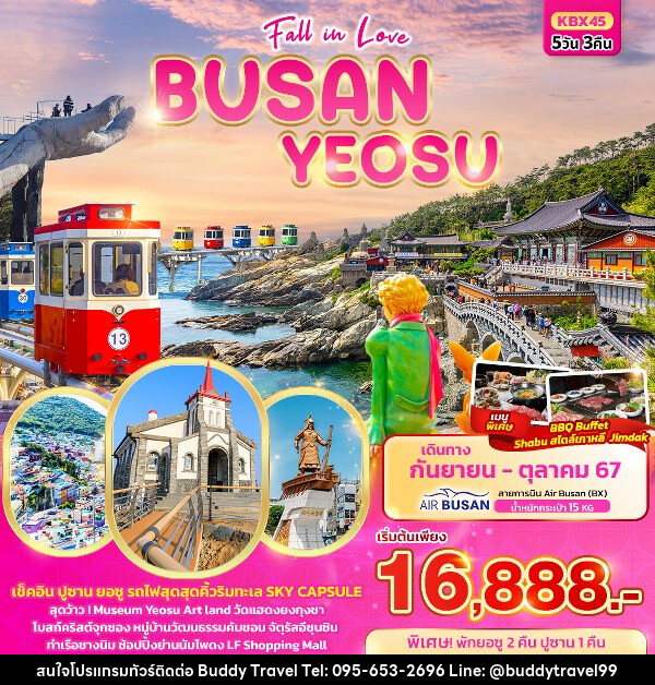 ทัวร์เกาหลี Fall in love BUSAN YEOSU  - บัดดี้ ทราเวล