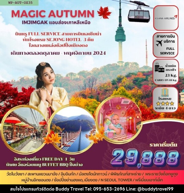 ทัวร์เกาหลี MAGIC AUTUMN  - บัดดี้ ทราเวล