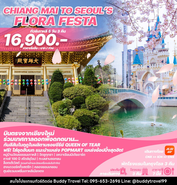 ทัวร์เกาหลีบินตรงเชียงใหม่ - โซล CHIANG MAI TO SEOUL'S FLORA FESTA - บัดดี้ ทราเวล