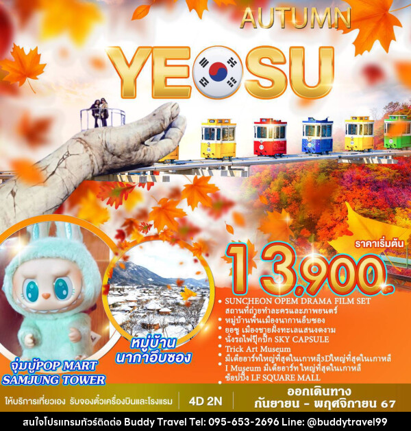 ทัวร์เกาหลี AUTUMN YEOSU - บัดดี้ ทราเวล