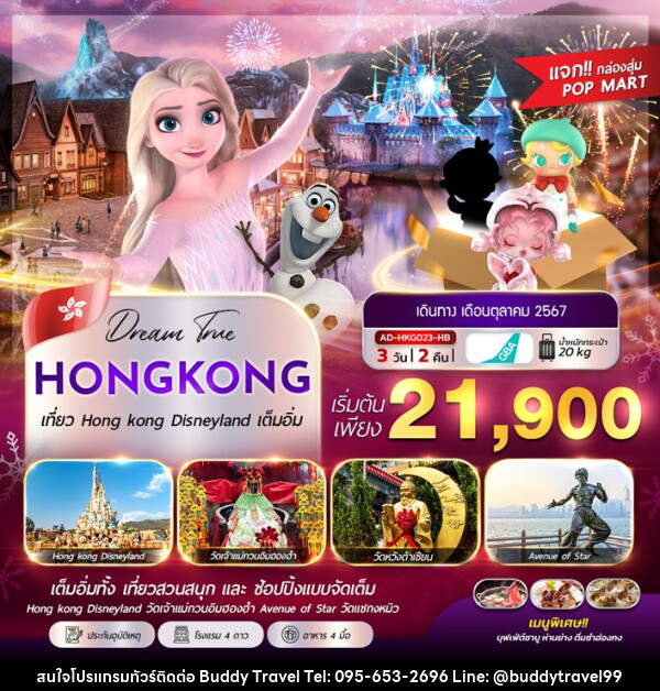 ทัวร์ฮ่องกง HONGKONG DISNEYLAND - บัดดี้ ทราเวล