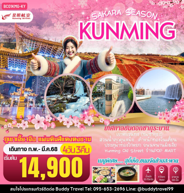 ทัวร์จีน SAKURA SEASON KUNMING คุนหมิง ภูเขาหิมะเจี้ยวจื่อ แผ่นดินสีแดงตงชวน - บัดดี้ ทราเวล