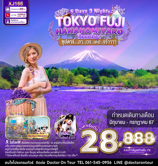 ทัวร์ญี่ปุ่น TOKYO FUJI HANANOMIYAKO FREEDAY - บริษัท ด็อกเตอร์ ออน ทัวร์ เทรเวิล แอนด์ เอเจนซี่ จำกัด