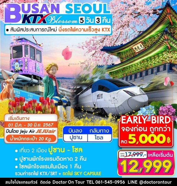 ทัวร์เกาหลี BUSAN SEOUL  - บริษัท ด็อกเตอร์ ออน ทัวร์ เทรเวิล แอนด์ เอเจนซี่ จำกัด