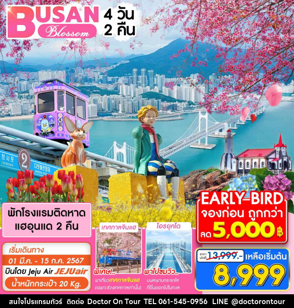 ทัวร์เกาหลี ปูซาน Blossom - บริษัท ด็อกเตอร์ ออน ทัวร์ เทรเวิล แอนด์ เอเจนซี่ จำกัด