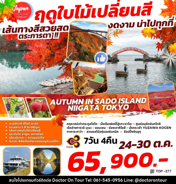 ทัวร์ญี่ปุ่น AUTUMN IN SADO ISLAND – NIIGATA TOKYO - บริษัท ด็อกเตอร์ ออน ทัวร์ เทรเวิล แอนด์ เอเจนซี่ จำกัด