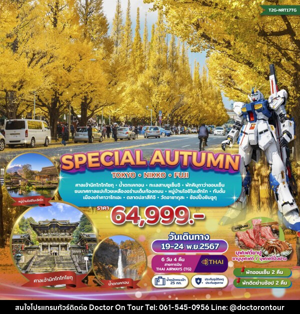 ทัวร์ญี่ปุ่น SPECIAL AUTUMN…TOKYO NIKKO FUJI GINKO FESTIVAL  - บริษัท ด็อกเตอร์ ออน ทัวร์ เทรเวิล แอนด์ เอเจนซี่ จำกัด