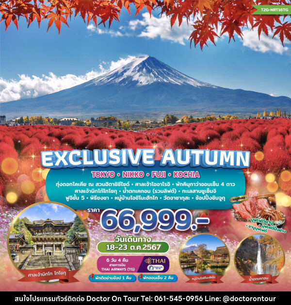 ทัวร์ญี่ปุ่น EXCLUSIVE AUTUMN TOKYO FUJI NIKKO KOCHIA   - บริษัท ด็อกเตอร์ ออน ทัวร์ เทรเวิล แอนด์ เอเจนซี่ จำกัด