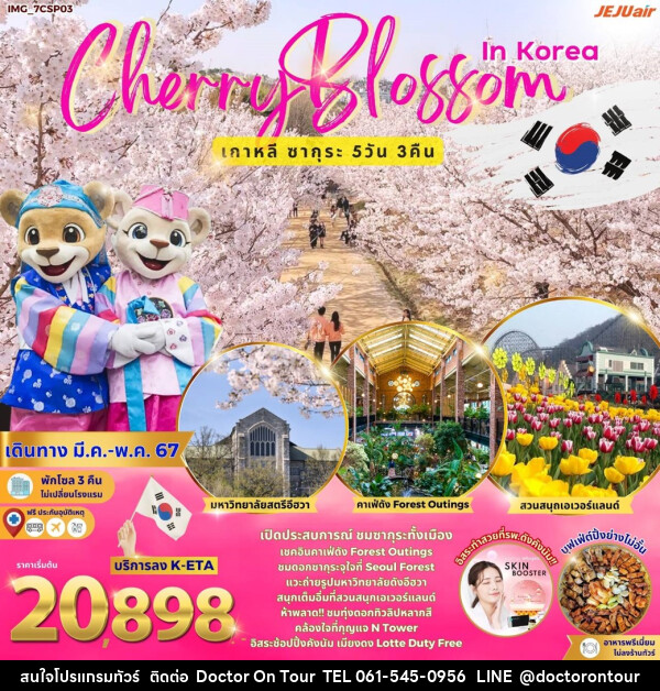ทัวร์เกาหลี Cherry Blossom in Korea - บริษัท ด็อกเตอร์ ออน ทัวร์ เทรเวิล แอนด์ เอเจนซี่ จำกัด