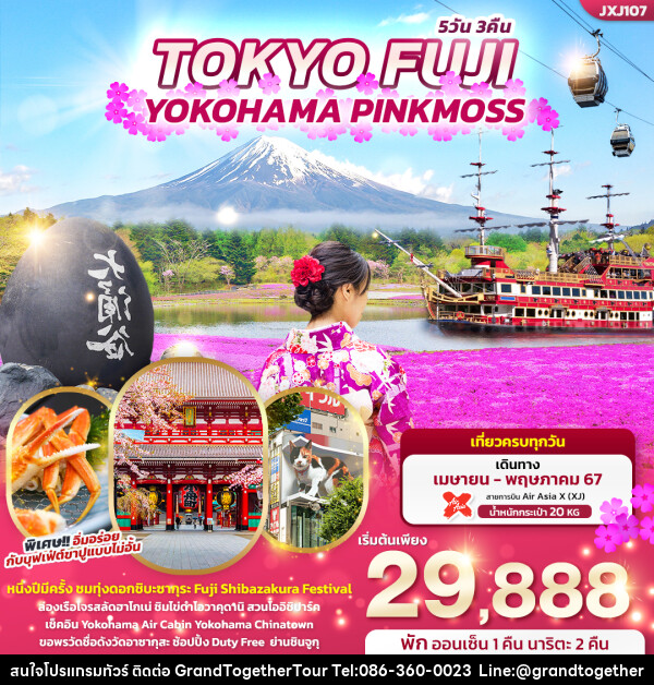 ทัวร์ญี่ปุ่น TOKYO FUJI YOKOHAMA PINKMOSS  - บริษัท แกรนด์ทูเก็ตเตอร์ จำกัด