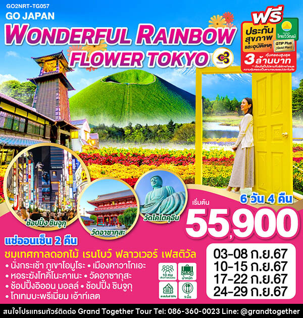 ทัวร์ญี่ปุ่น WONDERFUL RAINBOW FLOWER TOKYO - บริษัท แกรนด์ทูเก็ตเตอร์ จำกัด