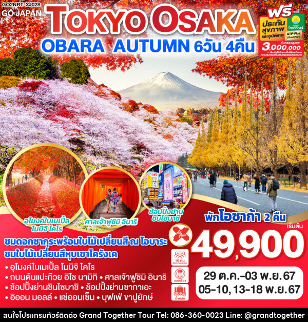 ทัวร์ญี่ปุ่น TOKYO OSAKA OBARA AUTUMN - บริษัท แกรนด์ทูเก็ตเตอร์ จำกัด