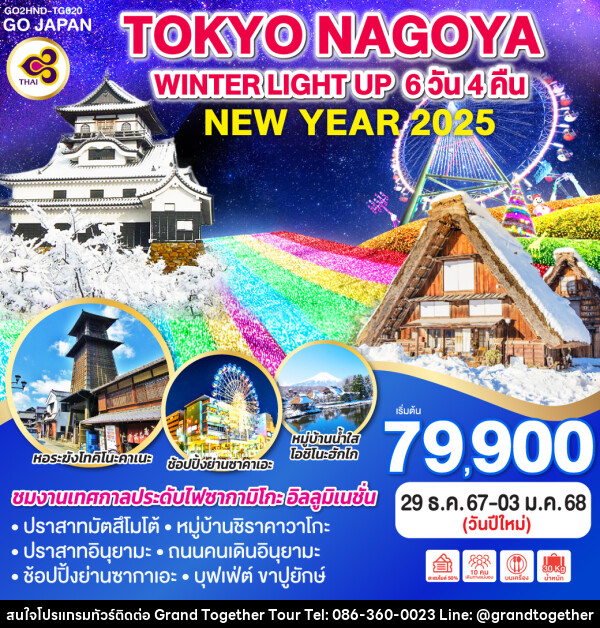 ทัวร์ญี่ปุ่น TOKYO NAGOYA WINTER LIGHT UP NEW YEAR - บริษัท แกรนด์ทูเก็ตเตอร์ จำกัด