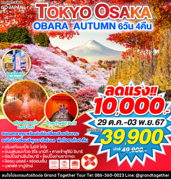 ทัวร์ญี่ปุ่น TOKYO OSAKA OBARA AUTUMN - บริษัท แกรนด์ทูเก็ตเตอร์ จำกัด