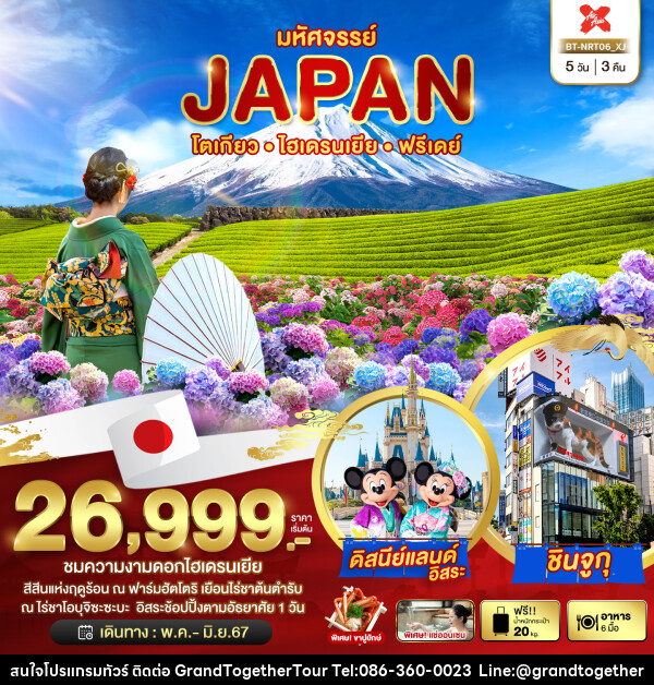 ทัวร์ญี่ปุ่น โตเกียว ไฮเดรนเยีย ฟรีเดย์ - บริษัท แกรนด์ทูเก็ตเตอร์ จำกัด