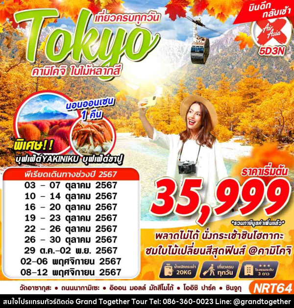 ทัวร์ญี่ปุ่น TOKYO คามิโคจิ ใบไม้หลากสี - บริษัท แกรนด์ทูเก็ตเตอร์ จำกัด