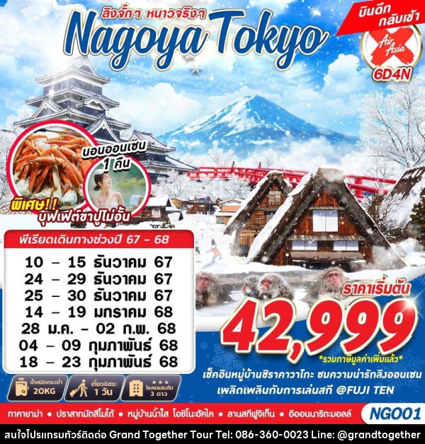 ทัวร์ญี่ปุ่น NAGOYA TOKYO WINTER ลิงจั๊กๆหนาวจริงๆ - บริษัท แกรนด์ทูเก็ตเตอร์ จำกัด