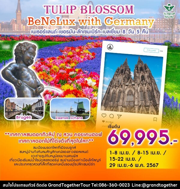 ทัวร์ยุโรป Tulip Blossom BeNeLux with Germany เนเธอร์แลนด์-เยอรมัน-ลักเซมเบิร์ก-เบลเยี่ยม  - บริษัท แกรนด์ทูเก็ตเตอร์ จำกัด