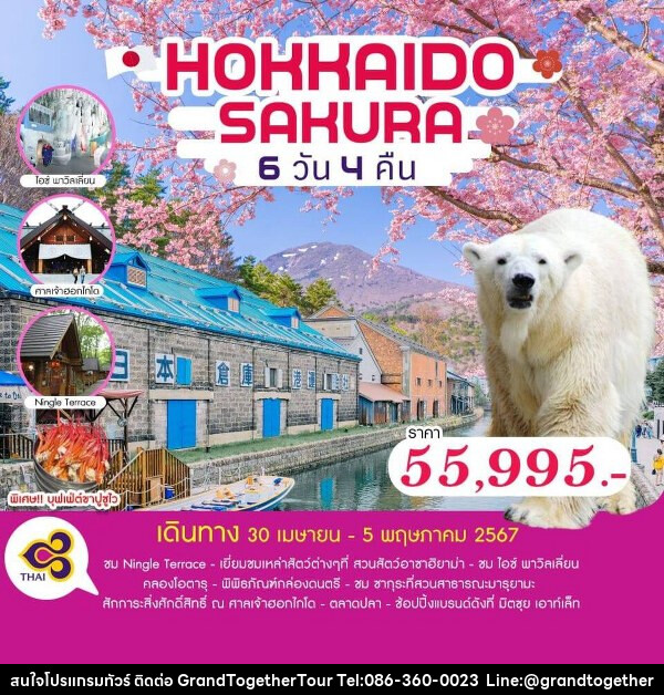 ทัวร์ญี่ปุ่น HOKKAIDO SAKURA - บริษัท แกรนด์ทูเก็ตเตอร์ จำกัด