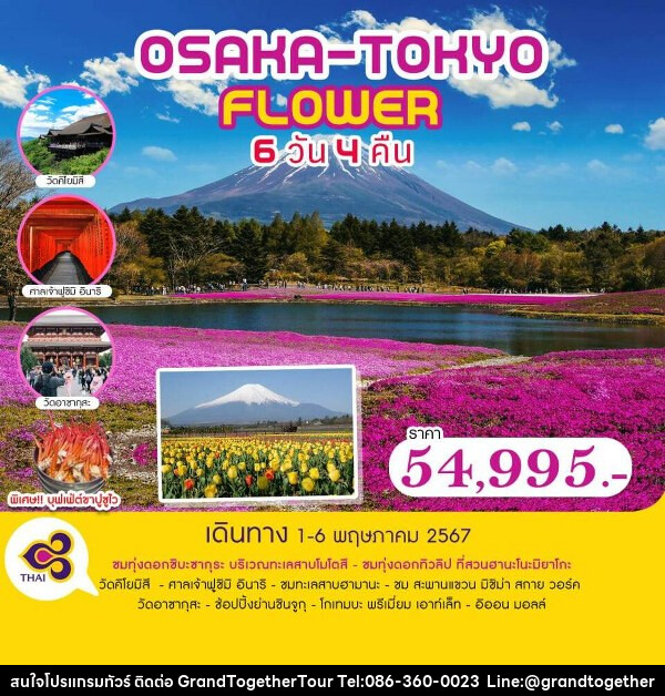 ทัวร์ญี่ปุ่น OSAKA-TOKYO FLOWER - บริษัท แกรนด์ทูเก็ตเตอร์ จำกัด