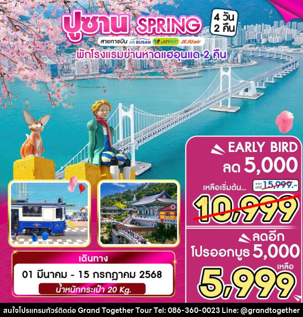 ทัวร์เกาหลี ปูซาน SPRING - บริษัท แกรนด์ทูเก็ตเตอร์ จำกัด