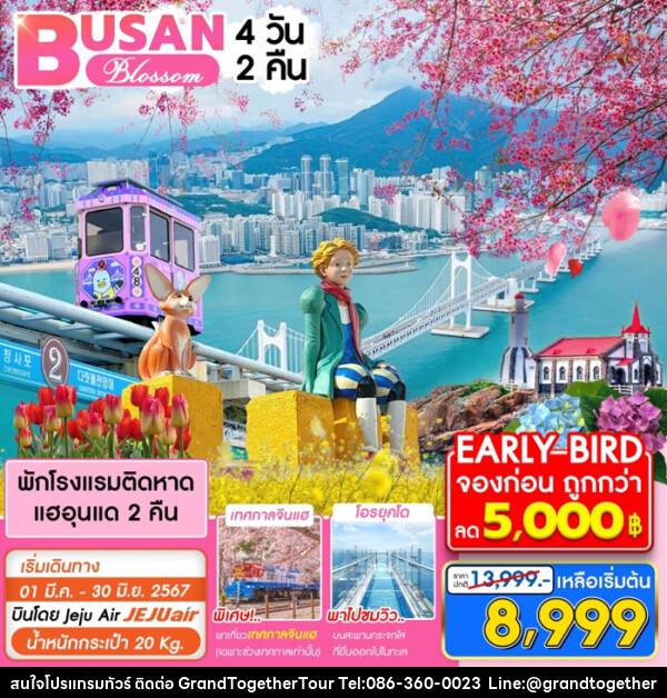 ทัวร์เกาหลี ปูซาน BLOSSOM - บริษัท แกรนด์ทูเก็ตเตอร์ จำกัด