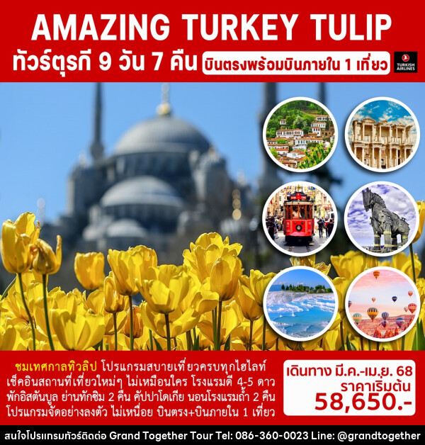 ทัวร์ตุรกี AMAZING TURKEY TULIP - บริษัท แกรนด์ทูเก็ตเตอร์ จำกัด