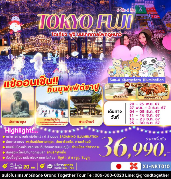 ทัวร์ญี่ปุ่น TOKYO FUJI  ชมงานประดับไฟ เล่นสกีฤดูหนาว  - บริษัท แกรนด์ทูเก็ตเตอร์ จำกัด