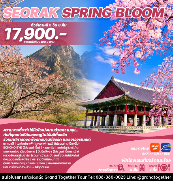 ทัวร์เกาหลี SEORAK SPRING BLOOM - บริษัท แกรนด์ทูเก็ตเตอร์ จำกัด