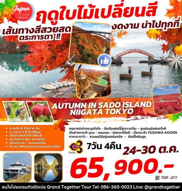 ทัวร์ญี่ปุ่น AUTUMN IN SADO ISLAND – NIIGATA TOKYO - บริษัท แกรนด์ทูเก็ตเตอร์ จำกัด