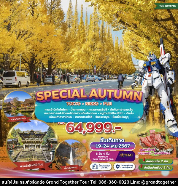 ทัวร์ญี่ปุ่น SPECIAL AUTUMN…TOKYO NIKKO FUJI GINKO FESTIVAL  - บริษัท แกรนด์ทูเก็ตเตอร์ จำกัด